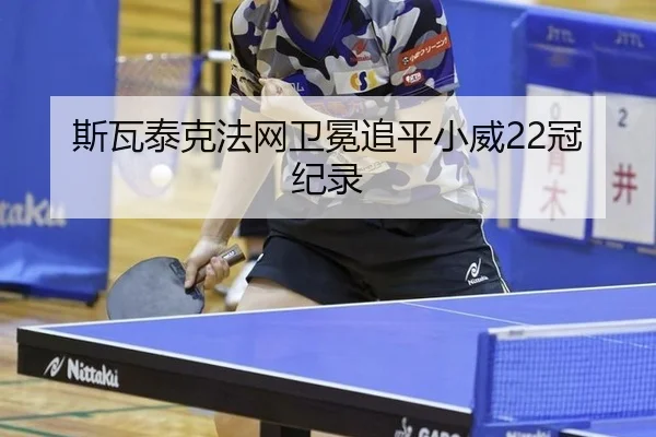 si-wa-tai-ke-fa-wang-wei-mian-zhui-ping-xiao-wei-guan-ji-lu-2-735.jpg
