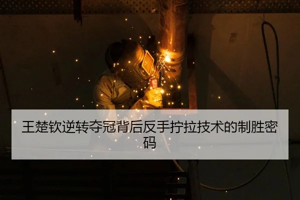wang-chu-qin-ni-zhuan-duo-guan-bei-hou-fan-shou-ning-la-ji-shu-de-zhi-sheng-mi-ma-3-274.jpg
