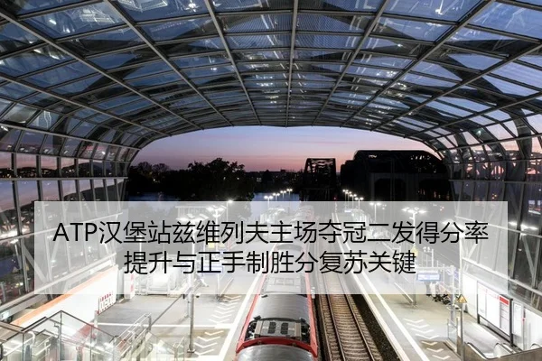 han-bao-zhan-zi-wei-lie-fu-zhu-chang-duo-guan-er-fa-de-fen-lv-ti-sheng-yu-zheng-shou-zhi-sheng-fen-fu-su-guan-jian-3-297.jpg
